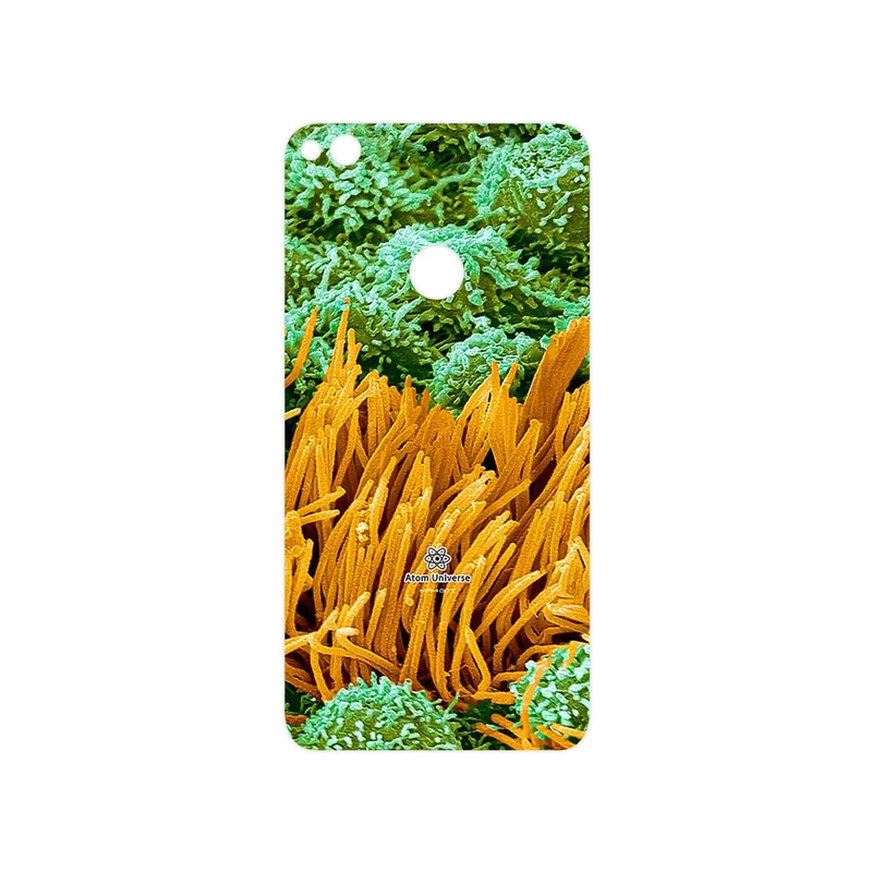 برچسب پوششی ماهوت مدل Atom Universe 6 مناسب برای گوشی موبایل آنر 8 Lite