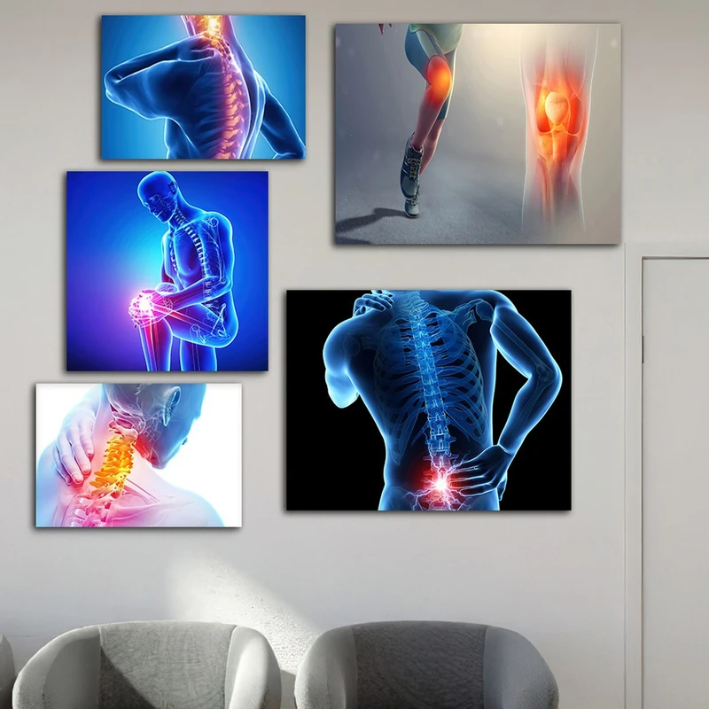 تابلو شاسی بکلیت طرح پزشکی آناتومی بدن مدل SH-917 مجموعه 5 عددی