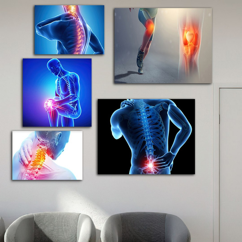 تابلو شاسی بکلیت طرح پزشکی آناتومی بدن مدل SH-917 مجموعه 5 عددی تابلو شاسی بکلیت طرح پزشکی آناتومی بدن مدل SH-917 مجموعه 5 عددی