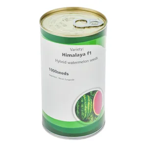 بذر هندوانه رونستو مدل Himalaya F1