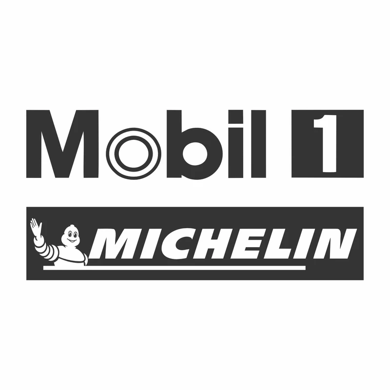 برچسب بدنه خودرو ونگارد طرح MICHE کد M2
