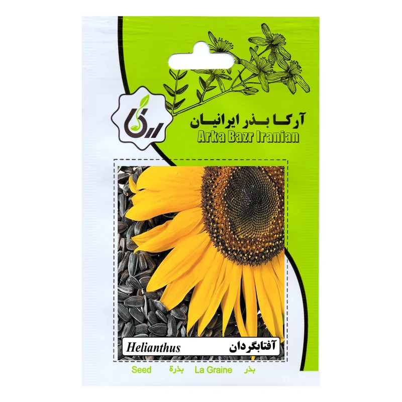 بذر آفتابگردان آرکا بذر ایرانیان کد ARK-137