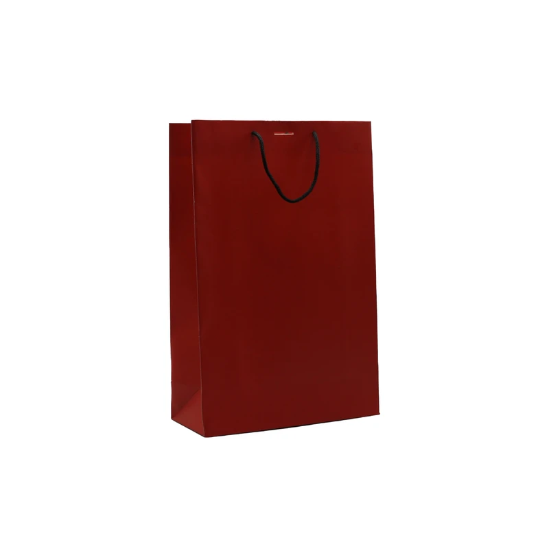 ساک خرید مدل R2 بسته 10عددی