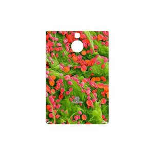 MAHOOT Atom Universe 3 Cover Sticker for BlackBerry Passport Silver Edition