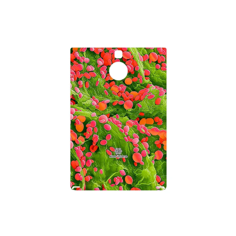 برچسب پوششی ماهوت مدل Atom Universe 3 مناسب برای گوشی موبایل بلک بری Passport Silver Edition