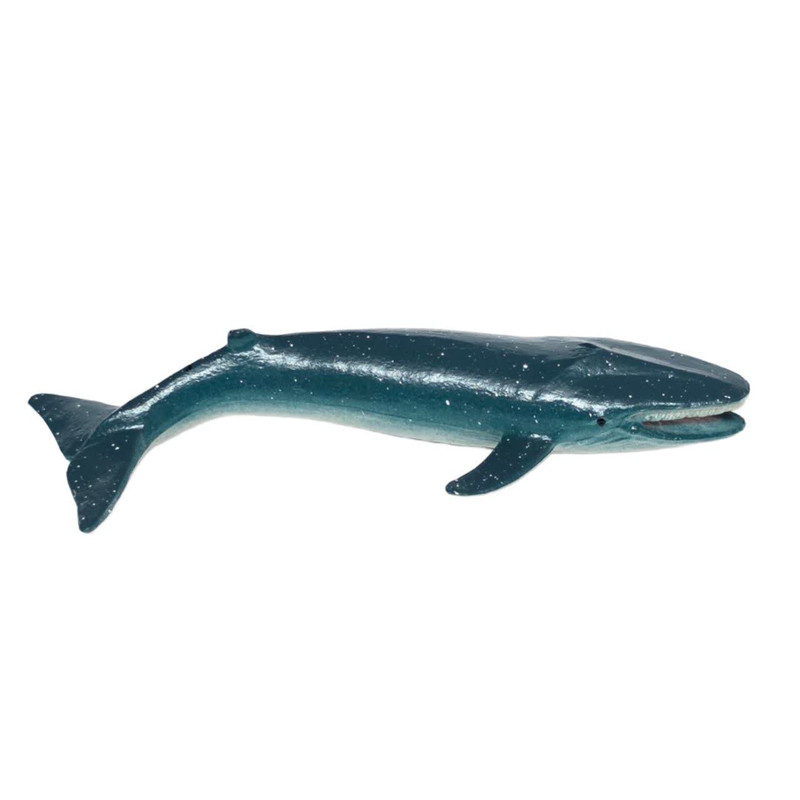 فیگور ناب سل مدل وال کد BLUE WHALE NAAB041 ارتفاع 2 سانتی متر