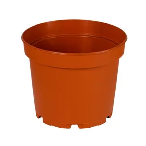 گلدان مدل پاچیرا کد 23 بسته 2 عددی