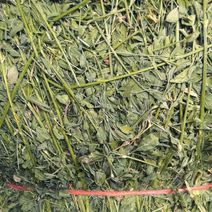 یونجه جوندگان مدل نوین وزن 1000 گرم