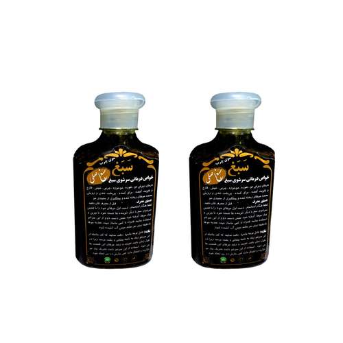 شامپو تقویت کننده و ترمیم کننده مو سبغ مدل 002 حجم 250 میلی لیتر مجموعه 2 عددی