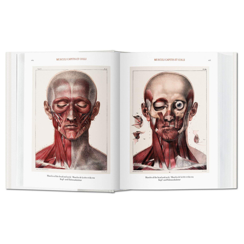 کتاب Bourgery. Atlas of Human Anatomy and Surgery اثر Jean-Marie Le Minor
انتشارات  تاشن
