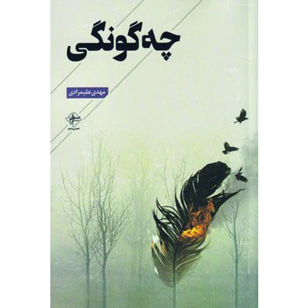 کتاب چه گونگی اثر مهدی علیمرادی انتشارات فصل پنجم