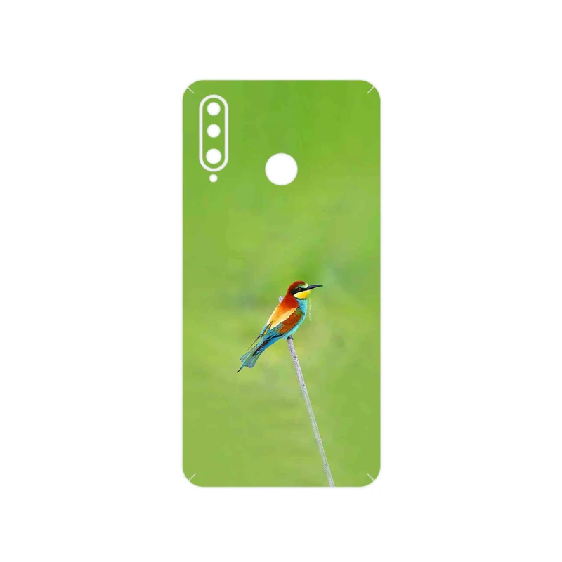 برچسب پوششی ماهوت مدل European bee-eater مناسب برای گوشی موبایل هوآوی P30 Lite (24 MP Camera)