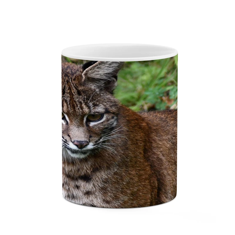 ماگ کاکتی مدل گربه کد mgh17443