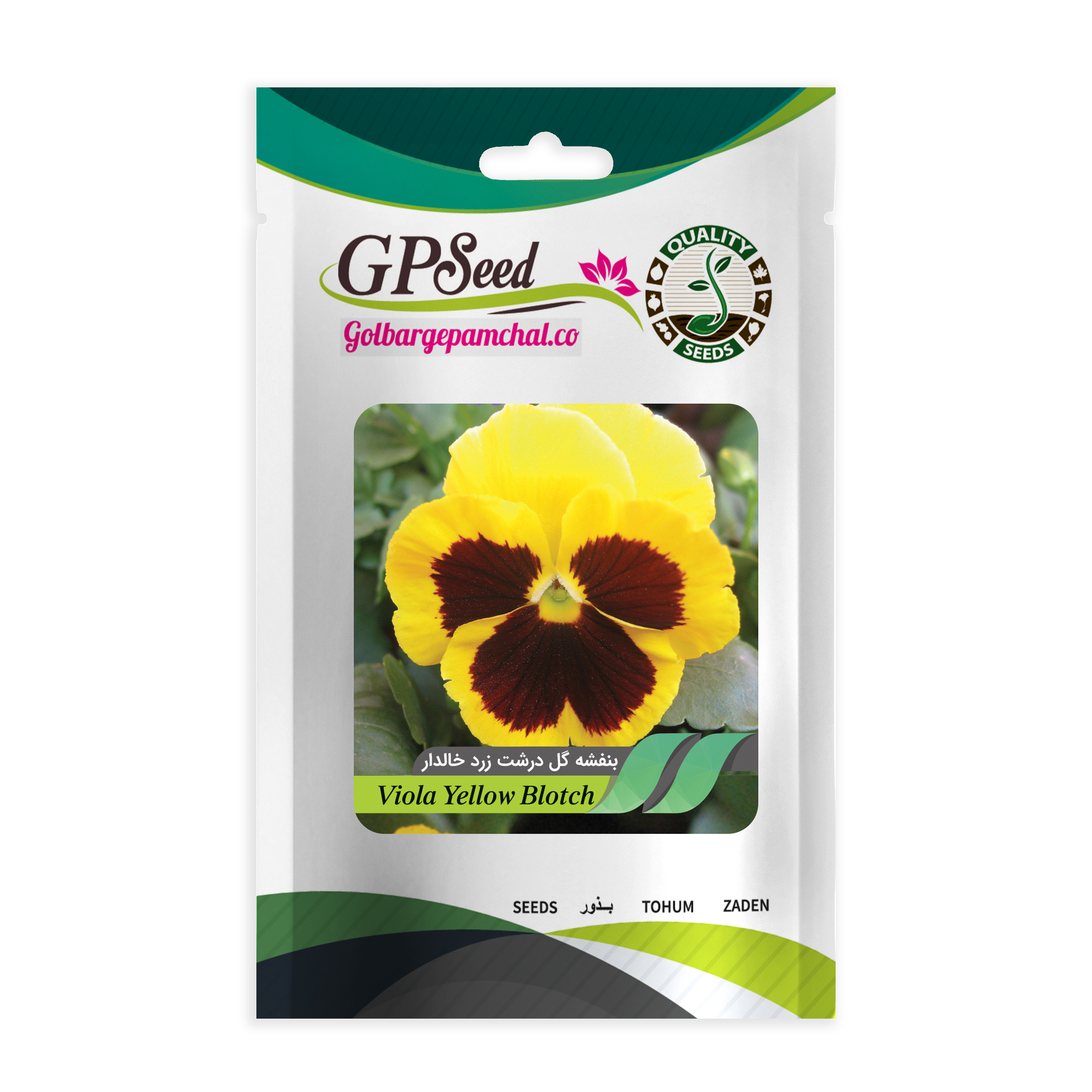 بذر گل بنفشه خوش رنگ الوان گلدانی گلبرگ پامچال کد G-P-GP-06 مجموعه 6 عددی