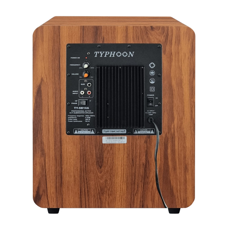 ساب ووفر اکتیو تایفون مدل TY-SB10A