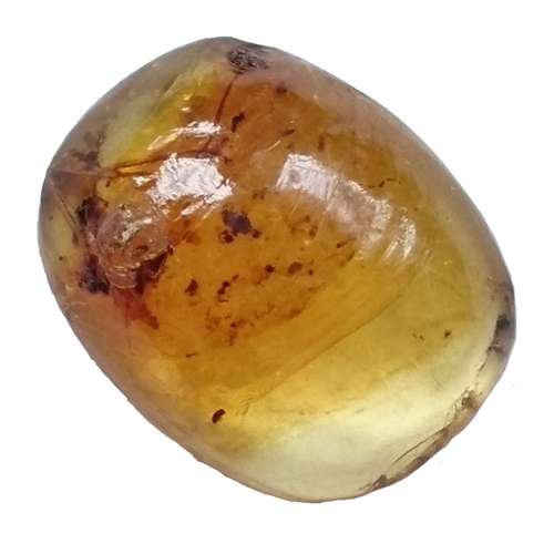 سنگ کهربا مدل حشره دار بالتیک طبیعی کد 07