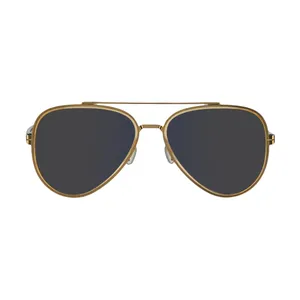 عینک آفتابی مردانه بولون مدل BL6033D20