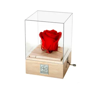 جعبه موزیکال مدل ROZ-001 کد 147647