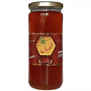 عسل طبیعی چهل گیاه شهبال - 600 گرم