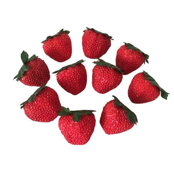 میوه تزیینی مدل توت فرنگی کد 521 بسته 10 عددی