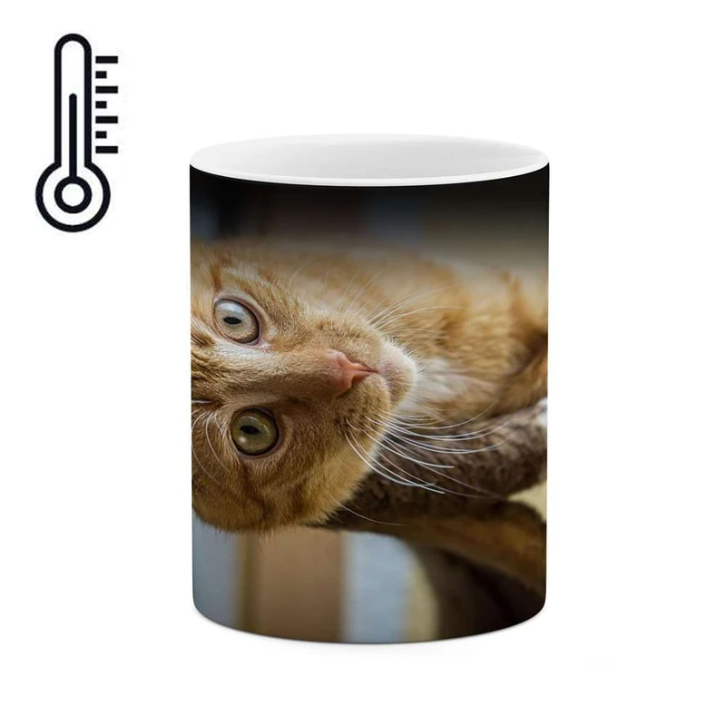 ماگ حرارتی کاکتی مدل گربه کد mgh16720