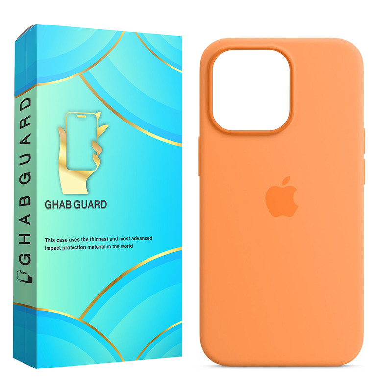 کاور قاب گارد مدل SILCBIGH مناسب برای گوشی موبایل اپل iPhone 11 Pro