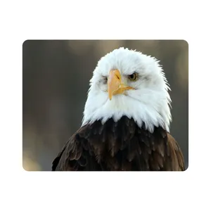 ماوس پد طرح عقاب مدل T8049