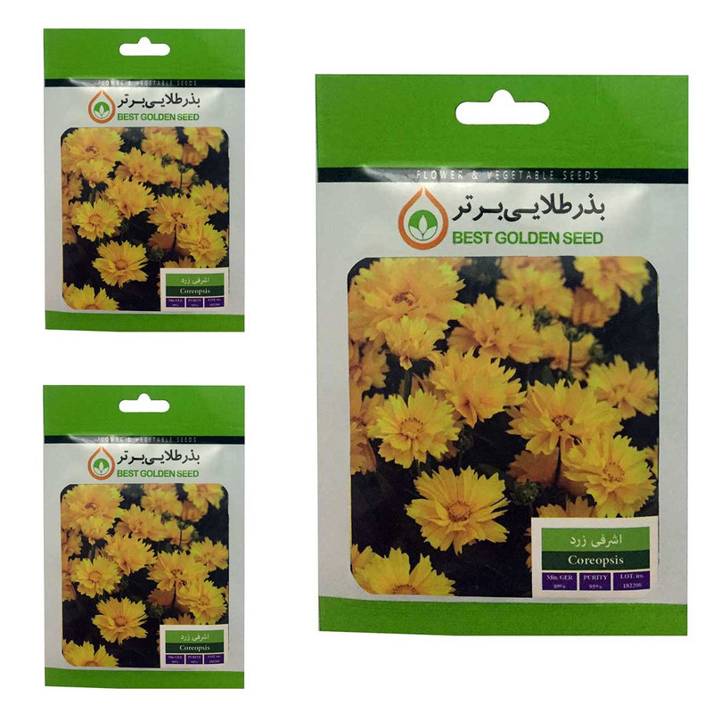 بذر گل اشرفی زرد بذر طلایی برتر کد BTB-06 مجموعه 3 عددی