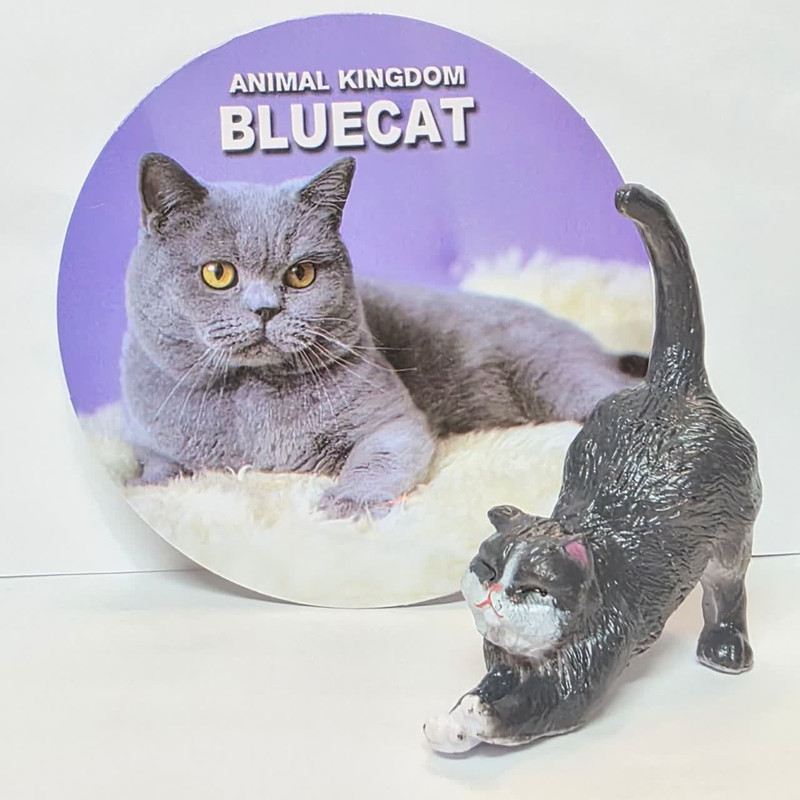 فیگور ناب سل مدل گربه کد BLUE CAT NAAB034 ارتفاع 6 سانتی متر