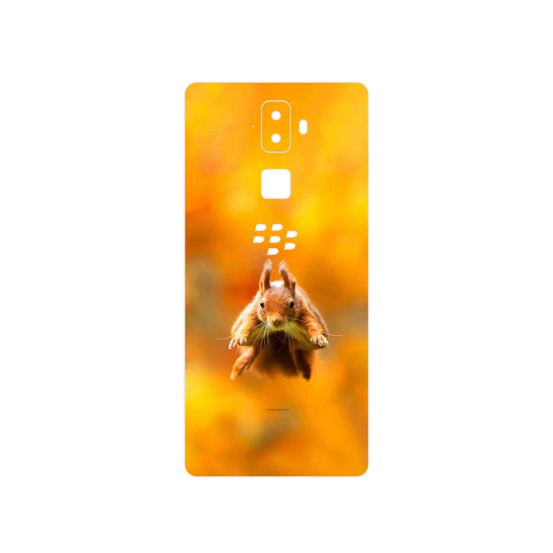 برچسب پوششی ماهوت مدل Squirrel مناسب برای گوشی موبایل بلک بری Evolve
