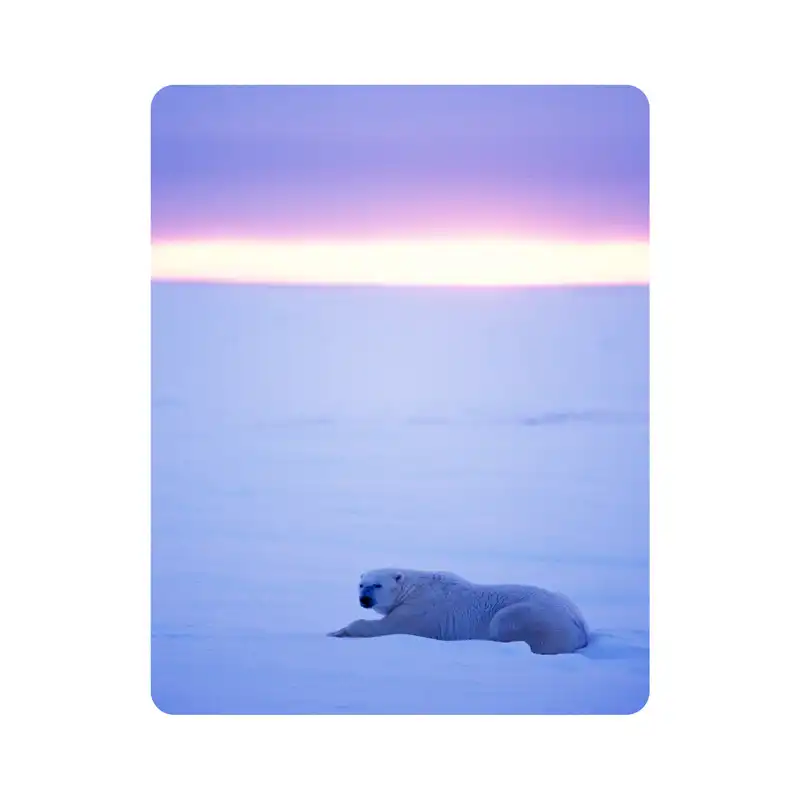 ماوس پد اطلس آبی طرح خرس قطبی و برف غروب  مدل T2099