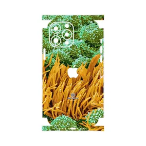 MAHOOT Atom Universe 6-FullSkin Cover Sticker for Apple iPhone 13 Pro Max