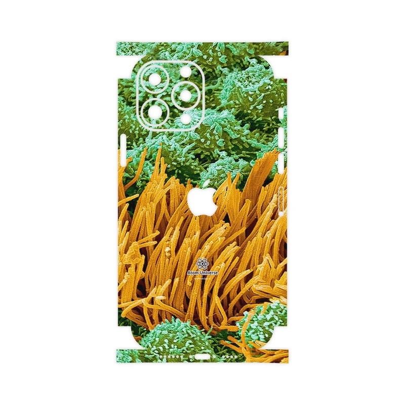 برچسب پوششی ماهوت مدل Atom Universe 6-FullSkin مناسب برای گوشی موبایل اپل iPhone 13 Pro Max