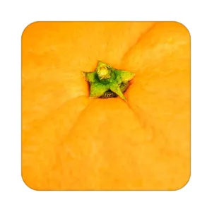 زیر لیوانی کاکتی طرح میوه مدل mp21558