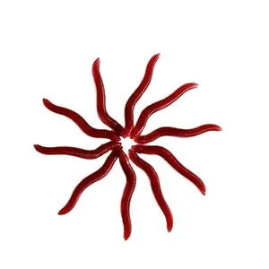 طعمه ماهیگیری فیشرمن مدل کرم بسته 10 عددی