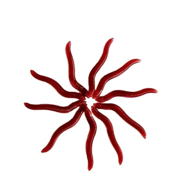 طعمه ماهیگیری فیشرمن مدل کرم بسته 10 عددی