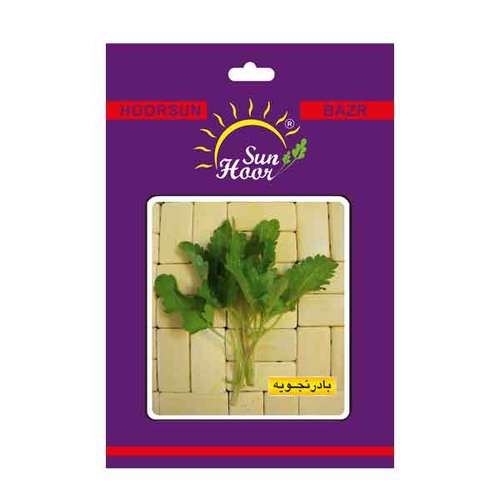 بذر سبزی بادرنجبویه هورسان مدل  HB10013