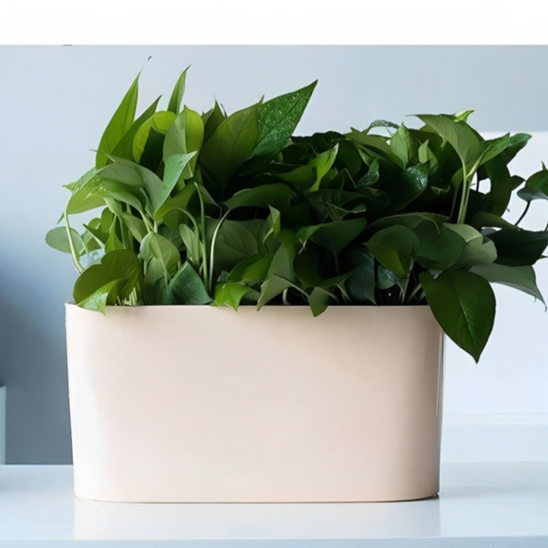 گلدان مدل هیدروپونیک بسته چهار عددی گلدان مدل هیدروپونیک بسته چهار عددی