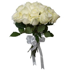 نقد و بررسی شاخه گل رز هلندی سفید دسته 20 عددی توسط خریداران