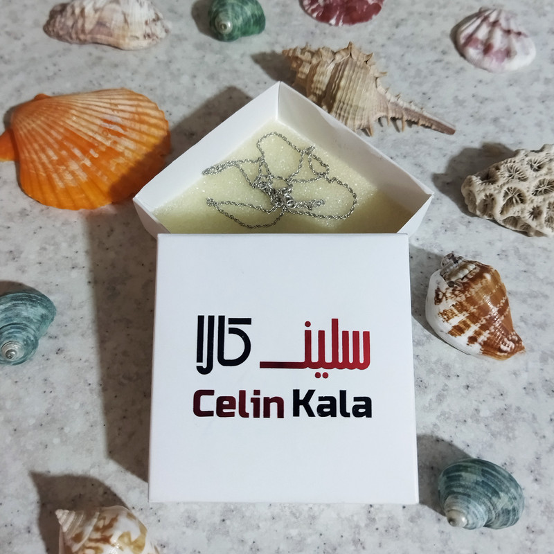 زنجیر نقره زنانه سلین کالا مدل طنابی T45 زنجیر نقره زنانه سلین کالا مدل طنابی T45