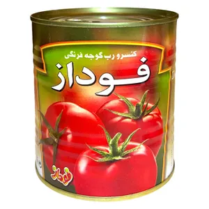 رب گوجه فرنگی فوداز 800 گرم