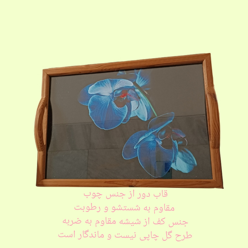 سینی مدل نیلوفر آبی کد 26