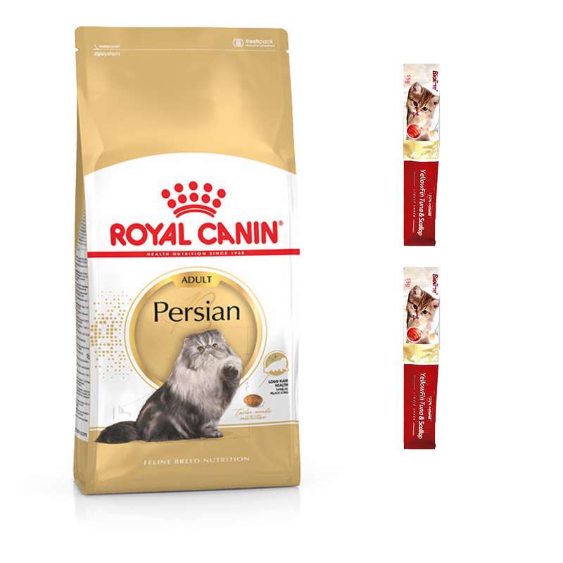 غذای خشک گربه رویال کنین مدل persian adult وزن 2 کیلوگرم به همراه بستنی گربه