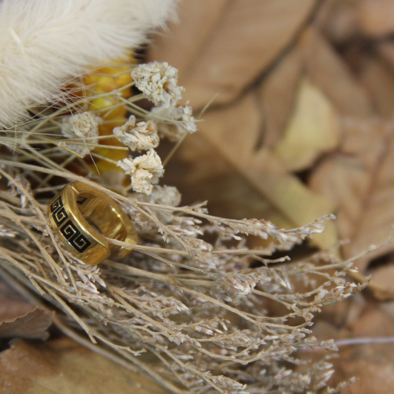 پیرسینگ گوش زنانه مدل FPG02