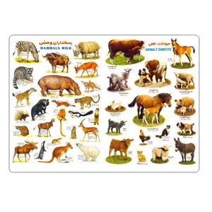 برچسب مدل حیوانات اهلی و وحشی