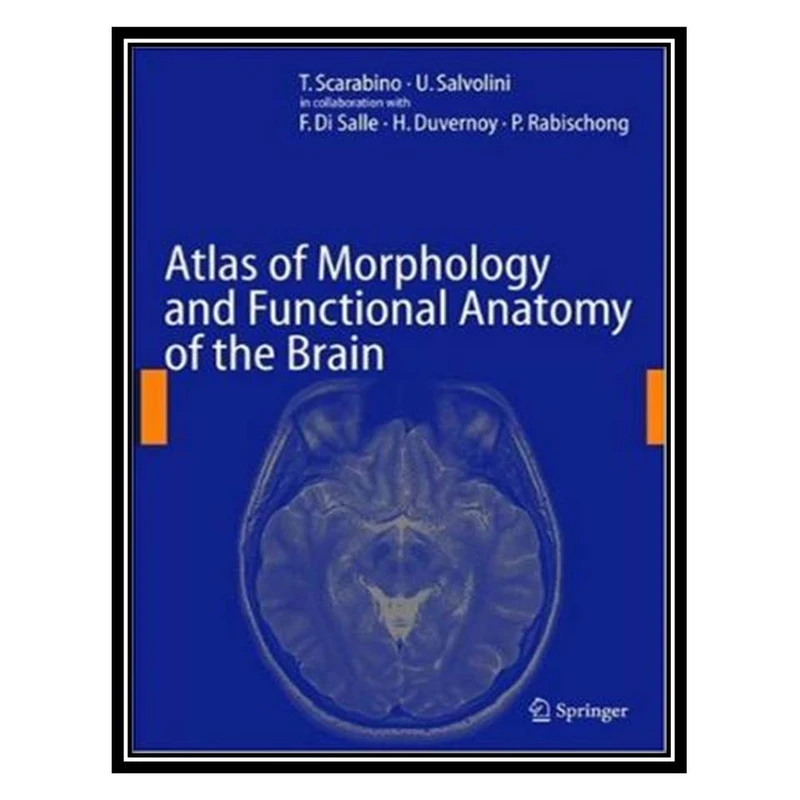 کتاب Atlas Of Morphology And Functional Anatomy Of The Brain اثر جمعی از نویسندگان انتشارات مؤلفین طلایی