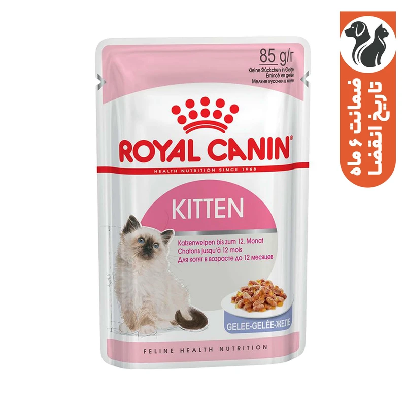 غذای پوچ گربه رویال کنین مدل Kitten Jelly وزن 85 گرم