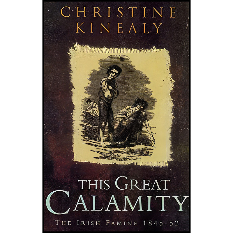 کتاب This great calamity اثر جمعي از نويسندگان انتشارات Gill & Macmillan