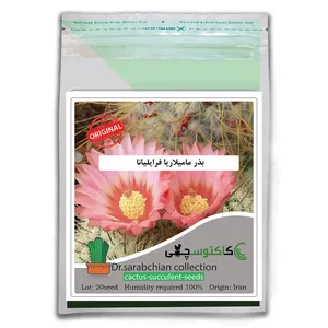 بذر نوتوکاکتوس گل صورتی کاکتوسچی مدل AM-053