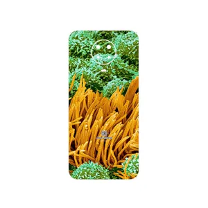 MAHOOT Atom Universe 6 Cover Sticker for Nokia G20